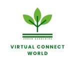 Virtual connect world